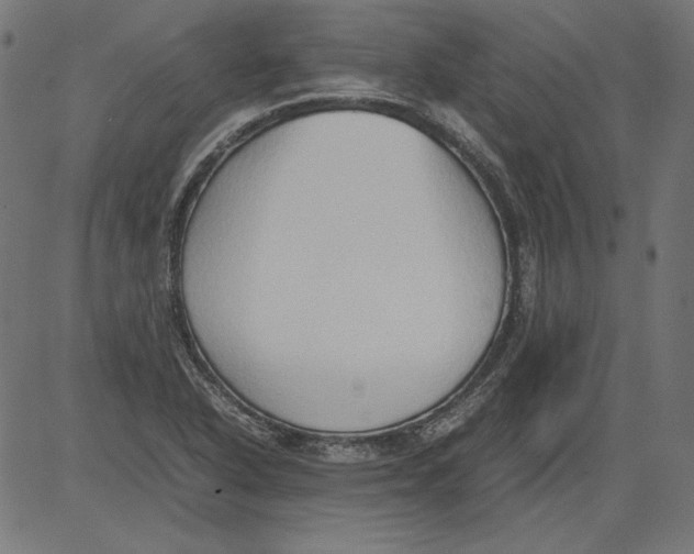 X0000081371318200702020155