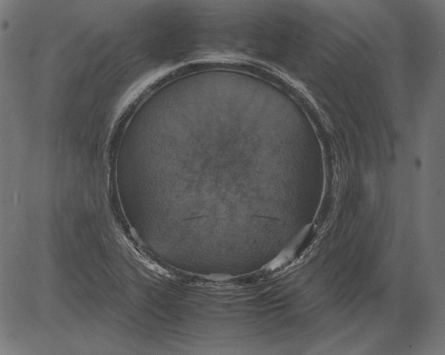 X0000081371319200702020155