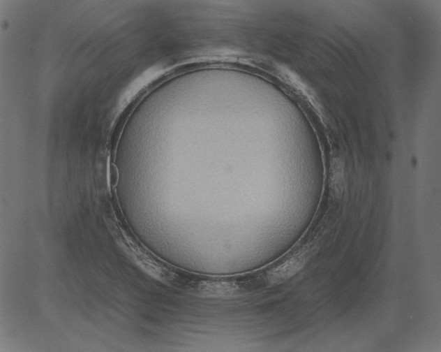 X0000081371320200702020155