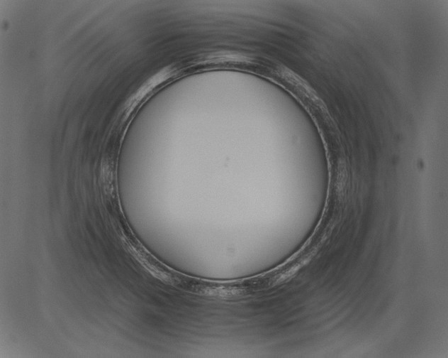 X0000081371321200702020155