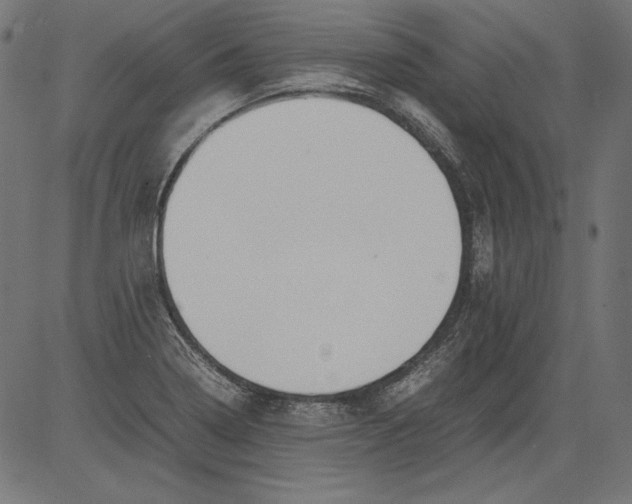 X0000081371322200702020155