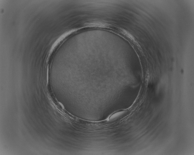 X0000081371323200702020155