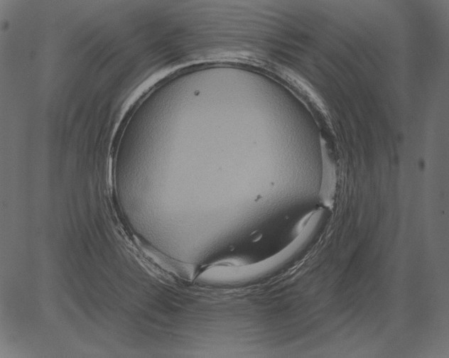 X0000081371324200702020155