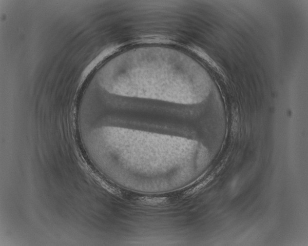 X0000081371325200702020155