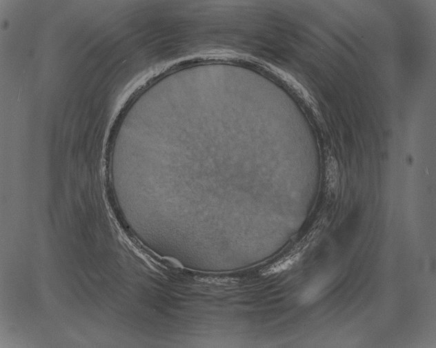 X0000081371327200702020155