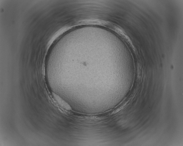 X0000081371328200702020155