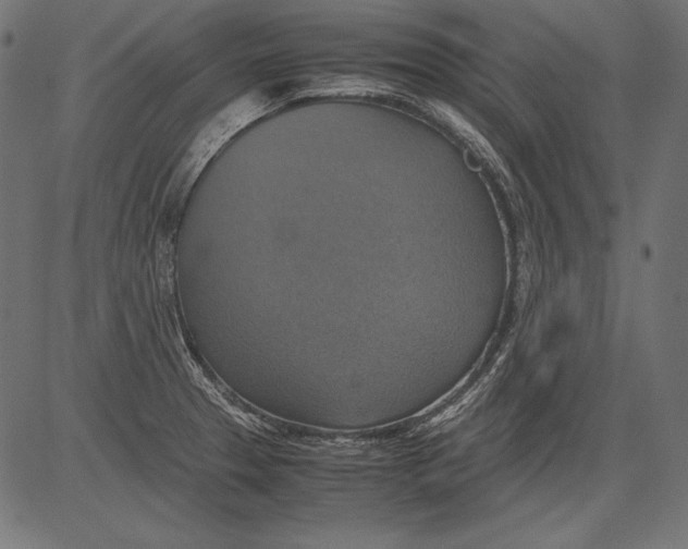 X0000081371329200702020155