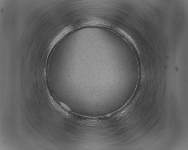 X0000081371330200702020155