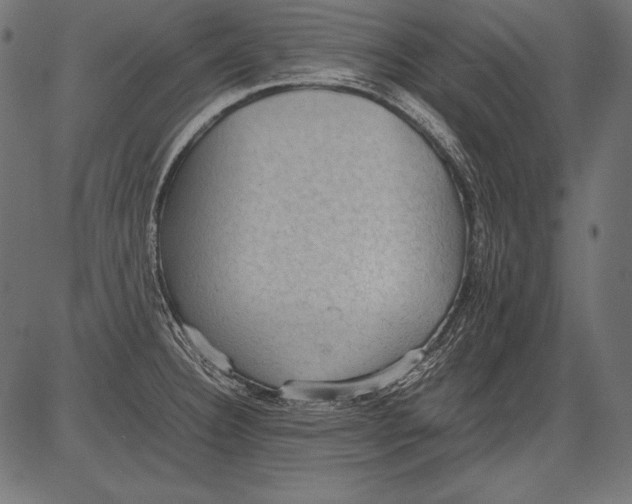 X0000081371332200702020155