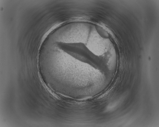 X0000081371333200702020155