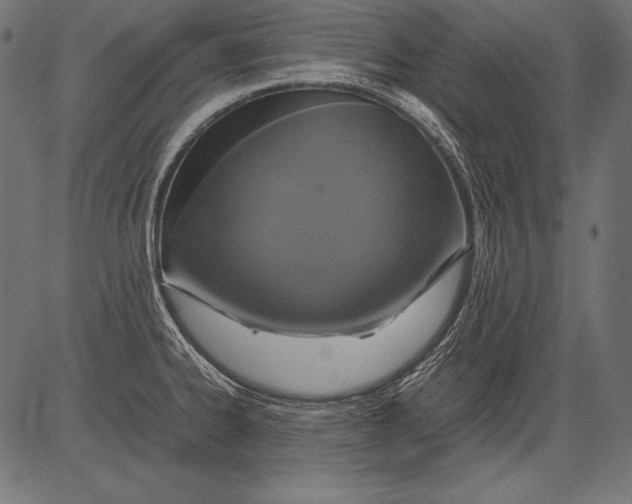 X0000081371334200702020155