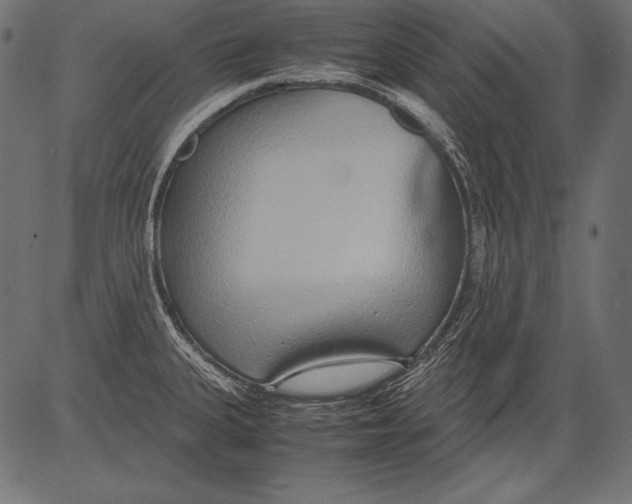 X0000081371335200702020155