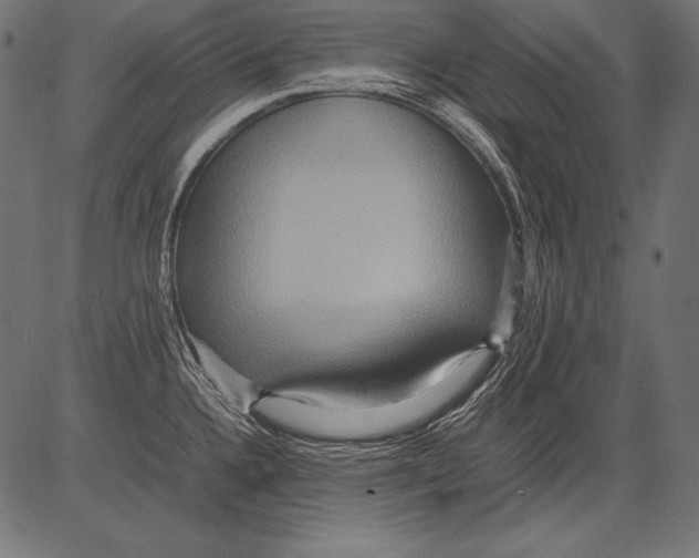 X0000081371336200702020155