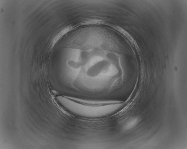 X0000081371337200702020155