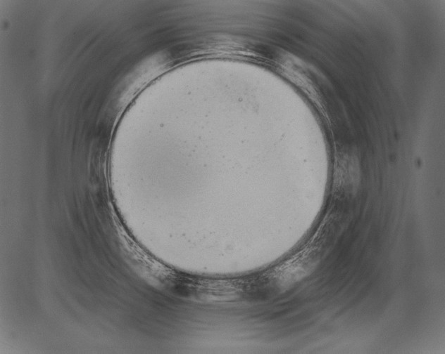 X0000081371338200702020155