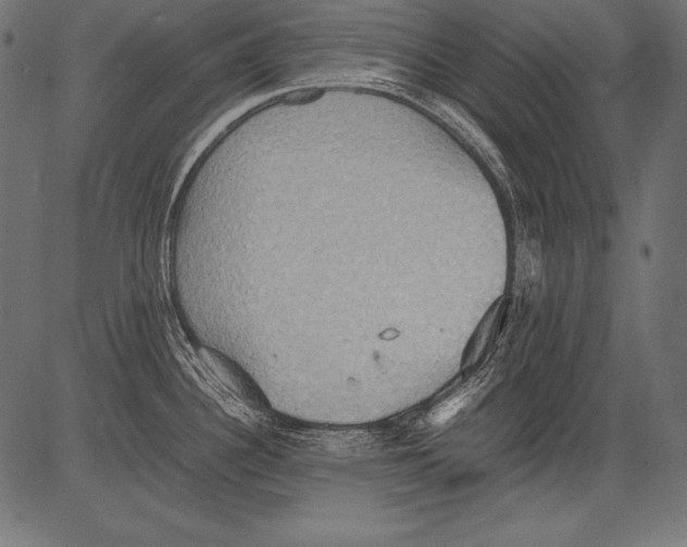 X0000081371340200702020156