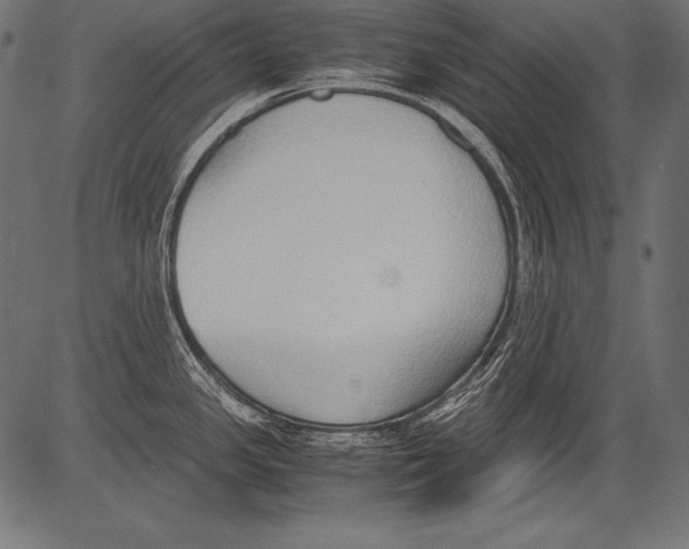 X0000081371341200702020156