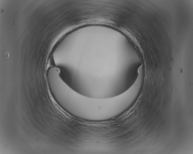 X0000081371342200702020156