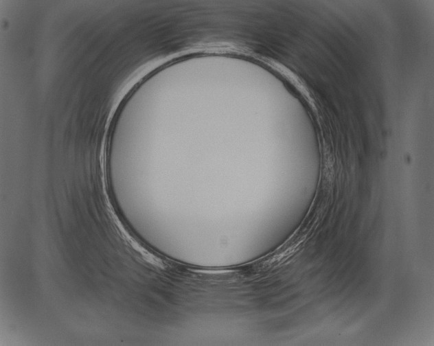 X0000081371343200702020156