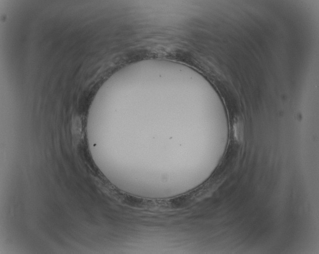 X0000081371347200702020155