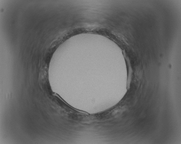 X0000081371349200702020155