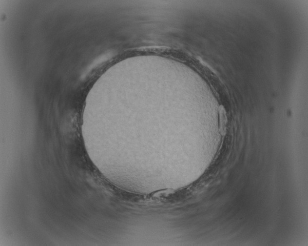 X0000081371351200702020155