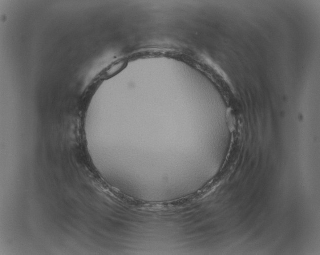 X0000081371352200702020155