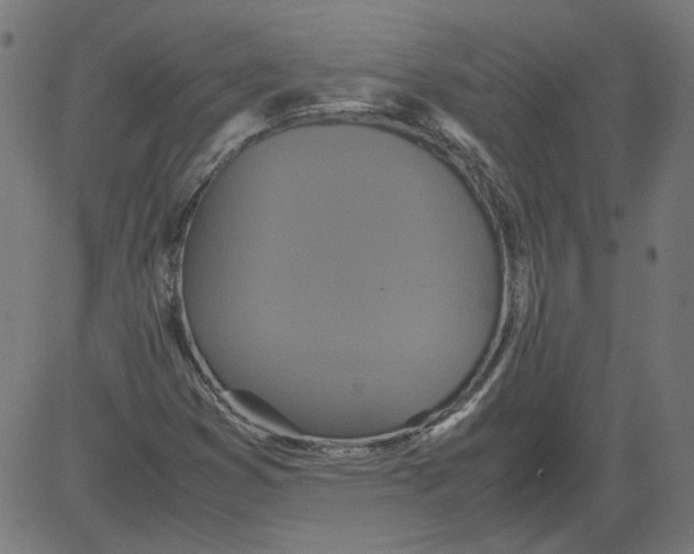 X0000081371353200702020155