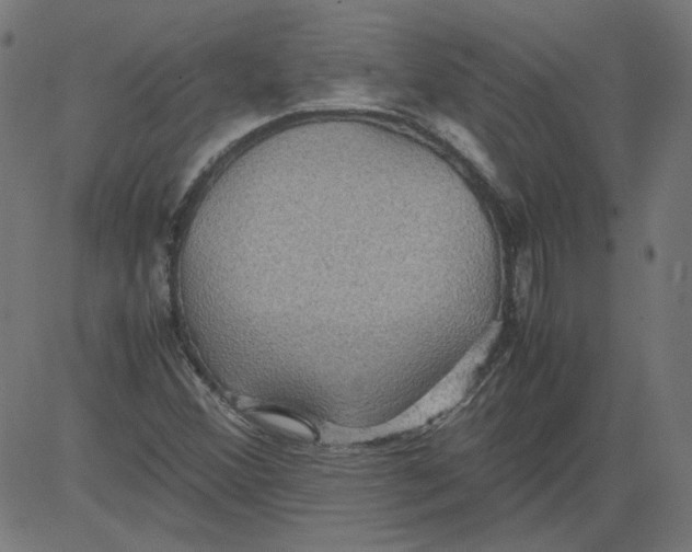 X0000081371356200702020155