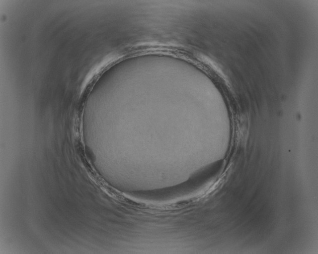 X0000081371357200702020155