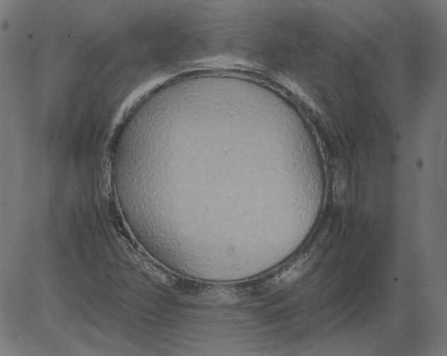 X0000081371358200702020155