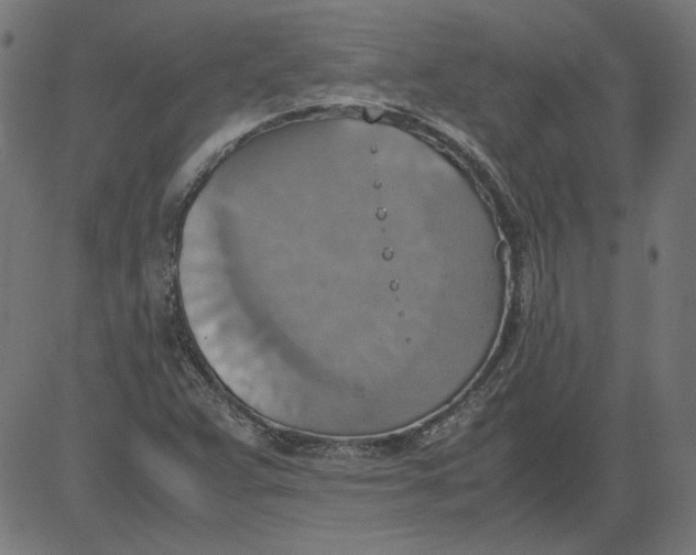 X0000081371359200702020155