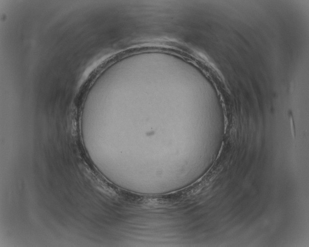 X0000081371360200702020155