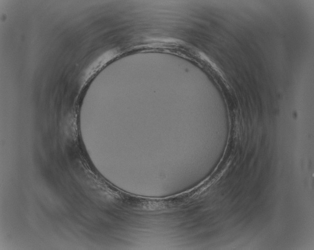 X0000081371362200702020155