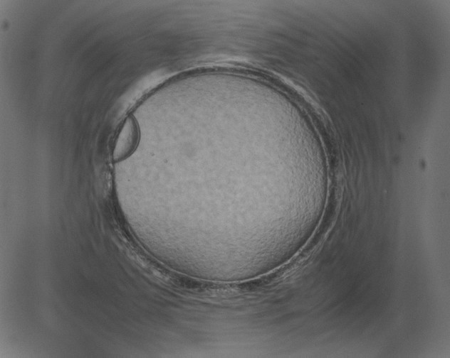 X0000081371363200702020154