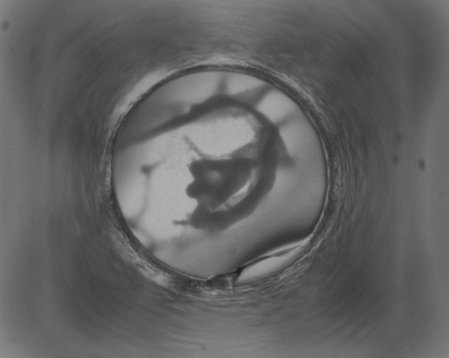 X0000081371367200702020154