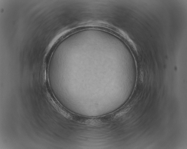 X0000081371368200702020154