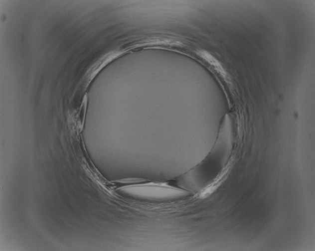 X0000081371369200702020154