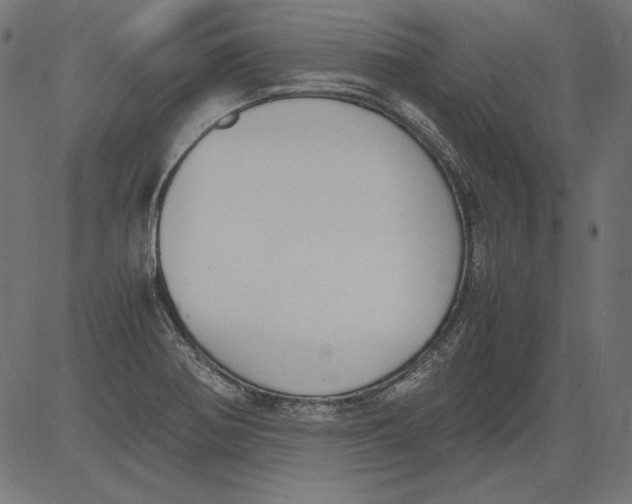 X0000081371370200702020154