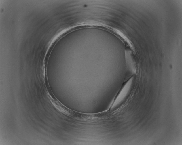 X0000081371372200702020154