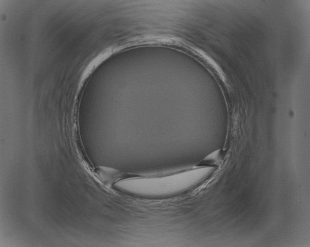 X0000081371373200702020154