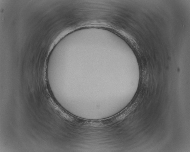 X0000081371374200702020154