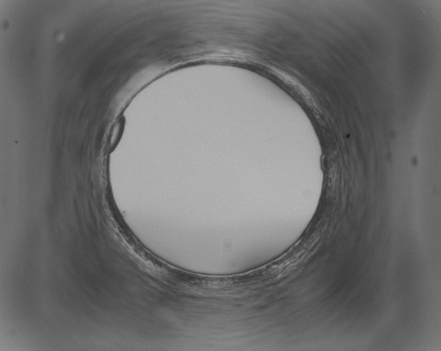 X0000081371375200702020154