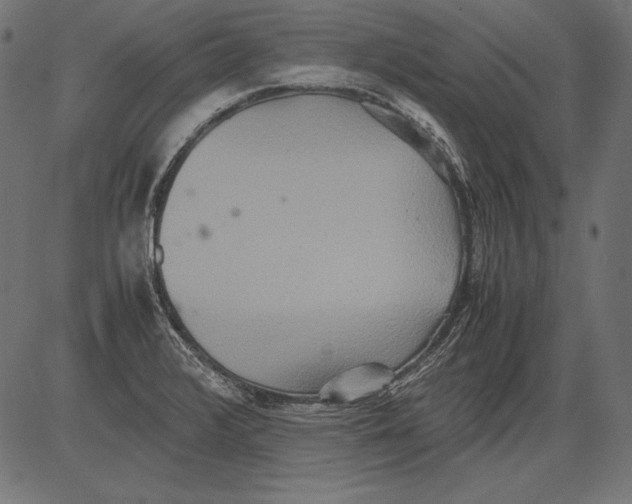 X0000081371376200702020154