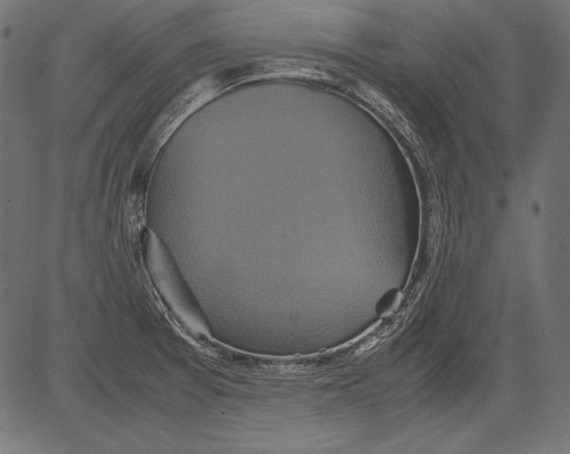 X0000081371377200702020154