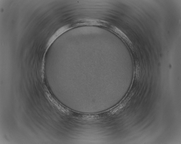 X0000081371378200702020154