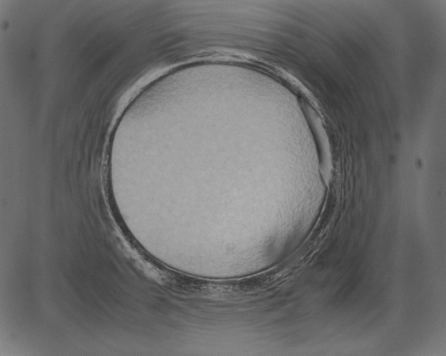 X0000081371379200702020154