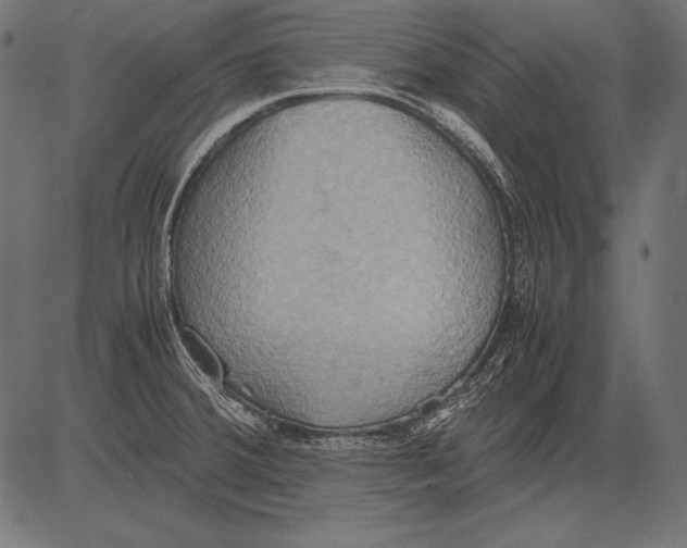 X0000081371380200702020154