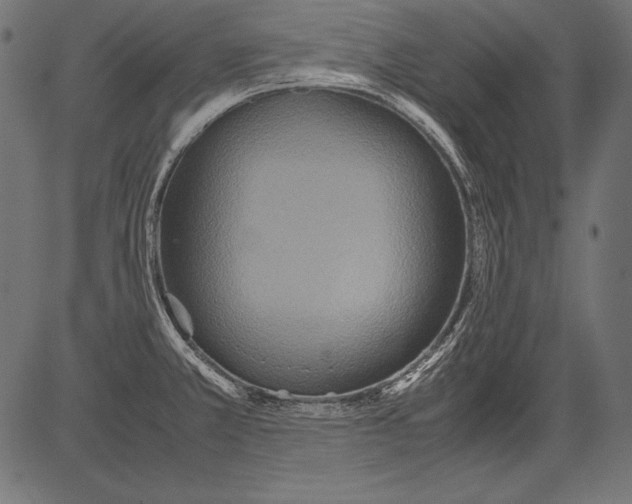 X0000081371381200702020154