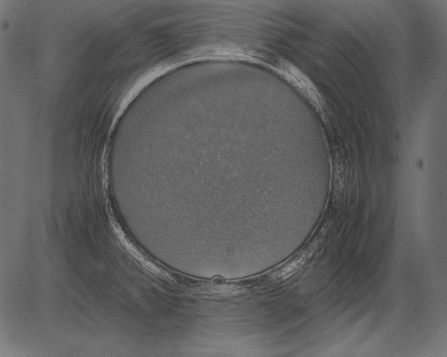 X0000081371382200702020154